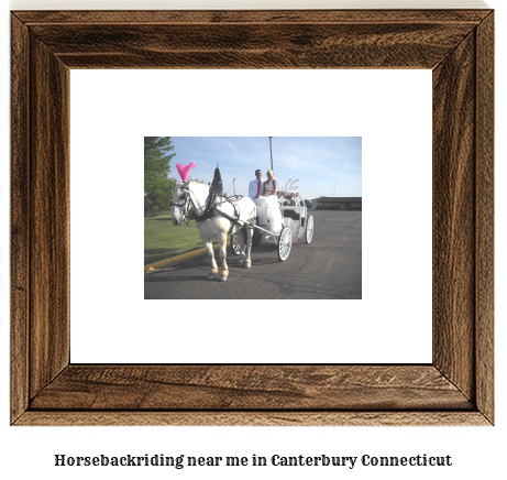 horseback riding near me in Canterbury, Connecticut